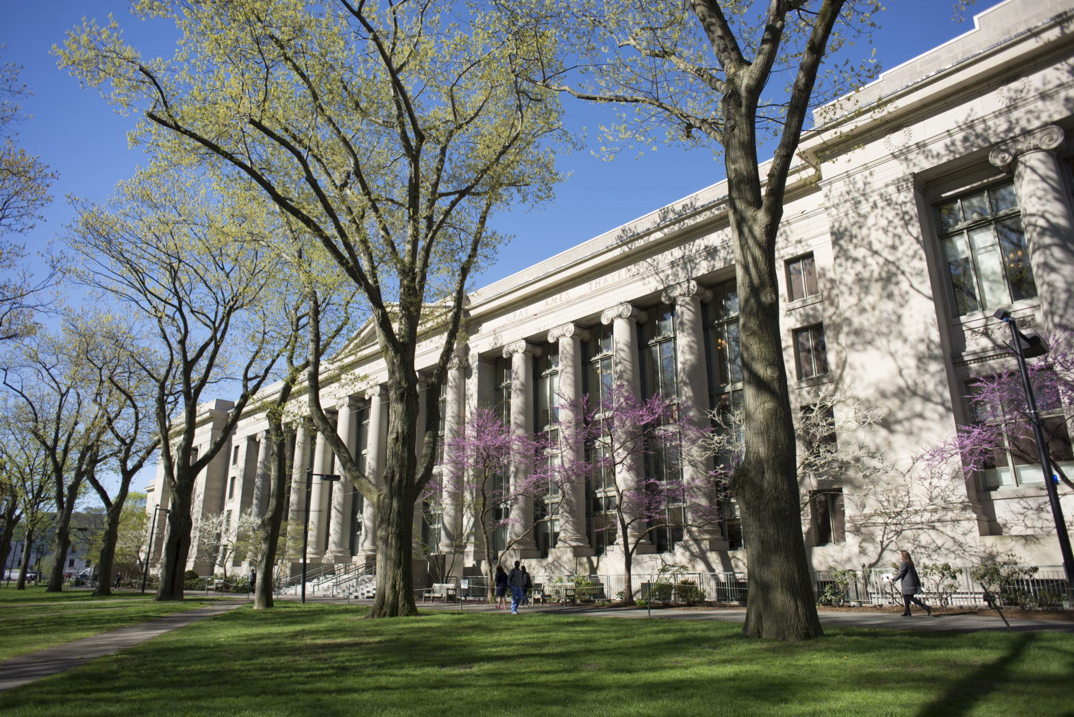 Langdell Library in the spring